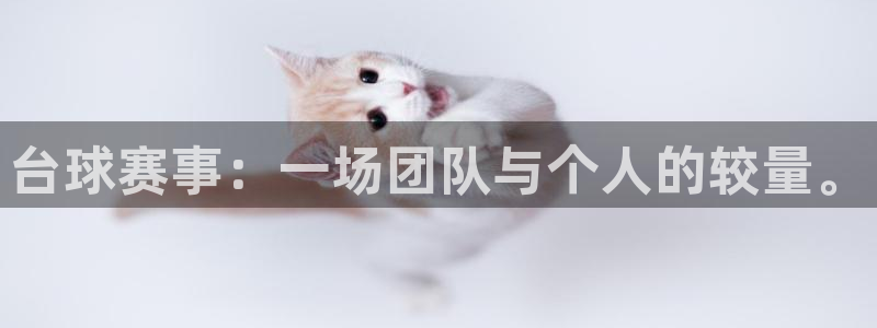 台球赛事：一场团队与个人的较量。