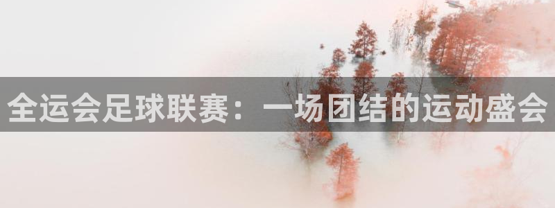 全运会足球联赛：一场团结的运动盛会