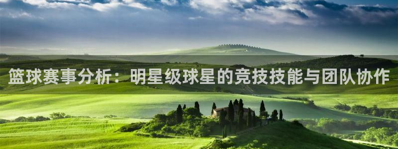 篮球赛事分析：明星级球星的竞技技能与团队协作