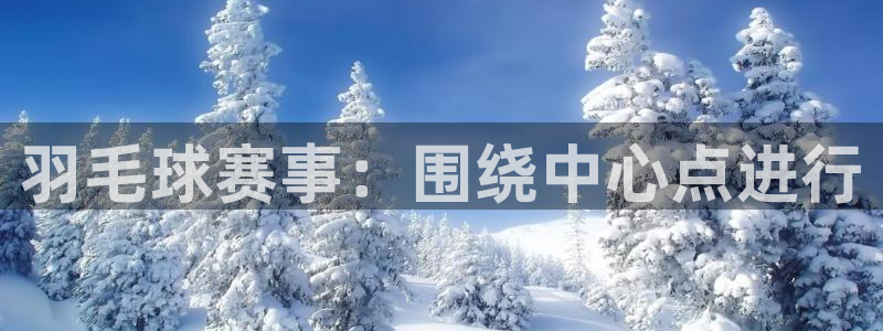 羽毛球赛事：围绕中心点进行