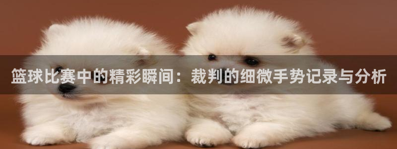 篮球比赛中的精彩瞬间：裁判的细微手势记录与分析
