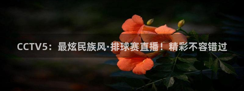 下载风速体育nba：CCTV5：最炫民族风·排球赛直播！精彩