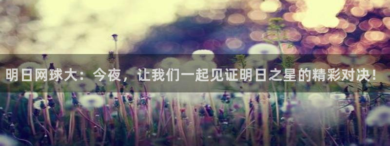 风速体育公众号：明日网球大：今夜，让我们一起见证明日之星的精