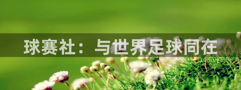 风速体育app下载地址手机版：球赛社：与世界足球同在