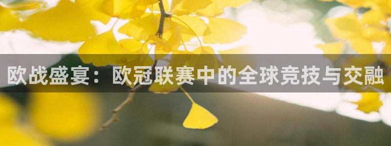 风速体育官方网站入口：欧战盛宴：欧冠联赛中的全球竞技与交融