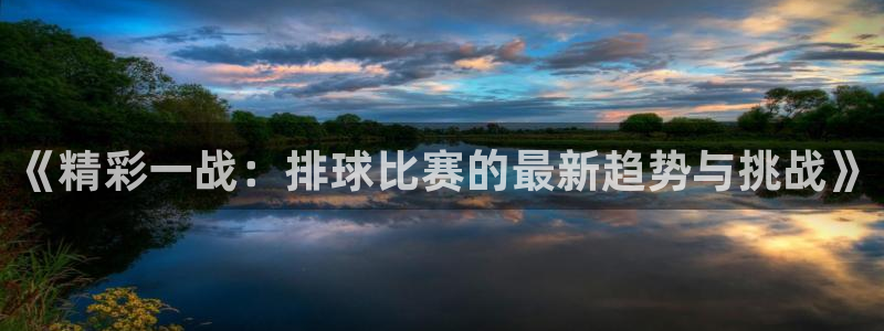 风速体育APP评价：《精彩一战：排球比赛的最新趋势与挑战》