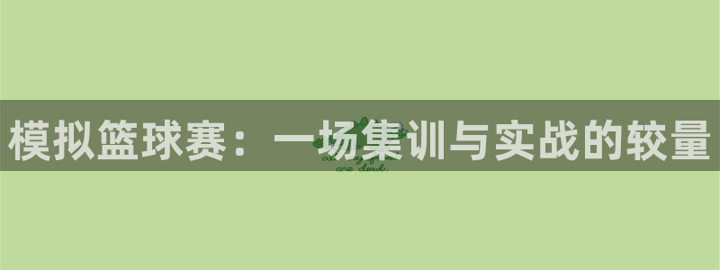 风速体育直播免费：模拟篮球赛：一场集训与实战的较量