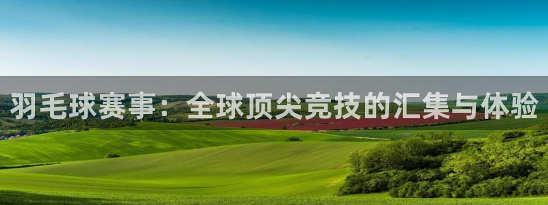 风速体育电脑版：羽毛球赛事：全球顶尖竞技的汇集与体验
