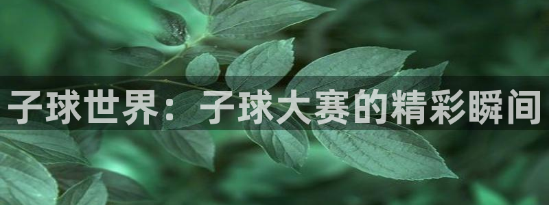 风速体育直播app安卓：子球世界：子球大赛的精彩瞬间
