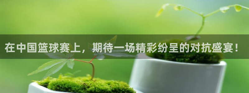 风速体育是正品吗：在中国篮球赛上，期待一场精彩纷呈的对抗盛宴